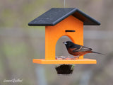 amishtoybox.live Hanging Oriole Jelly and Orange Bird Feeder, Eco-Friendly Poly Lumber