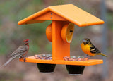 Oriole Bird Feeder, Double-Cup Jelly Oriole Feeder with Pegs for Orange Halves