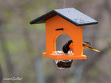 amishtoybox.live Hanging Oriole Jelly and Orange Bird Feeder, Eco-Friendly Poly Lumber