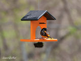 amishtoybox.live Hanging Oriole Jelly and Orange Bird Feeder, Eco-Friendly Poly Lumber