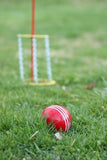Deluxe Flag Croquet Golf Game Set with Duffel Carry Bag