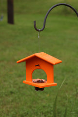 amishtoybox.live Hanging Oriole Jelly and Orange Bird Feeder, Eco-Friendly Poly Lumber