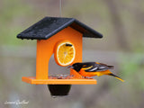 amishtoybox.live Hanging Oriole Jelly and Orange Bird Feeder, Eco-Friendly Poly Lumber