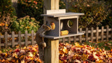 Amish-Made Squirrel Corn Feeder, Poly Lumber, Post-Mount Wildlife Feeder