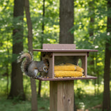 Amish-Made Squirrel Corn Feeder, Poly Lumber, Post-Mount Wildlife Feeder