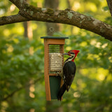 Pileated Woodpecker Suet Bird Feeder, Holds 2 Suet Cakes, Made With Poly Lumber