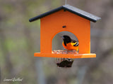 amishtoybox.live Hanging Oriole Jelly and Orange Bird Feeder, Eco-Friendly Poly Lumber