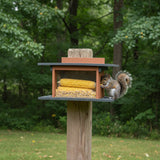 Amish-Made Squirrel Corn Feeder, Poly Lumber, Post-Mount Wildlife Feeder